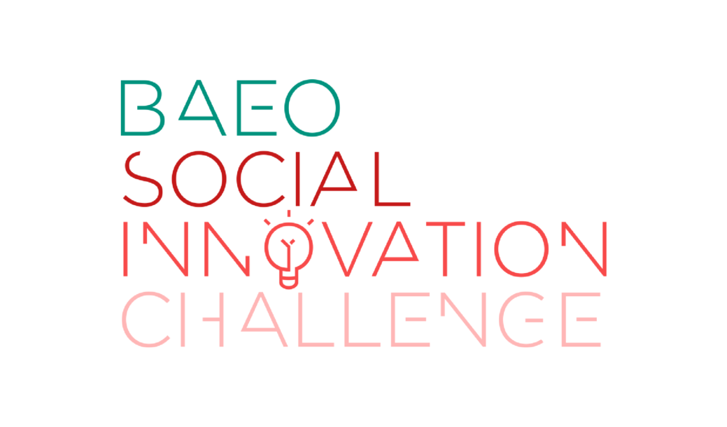 Izrada Vizualnog Identiteta Baeo Social Innovation